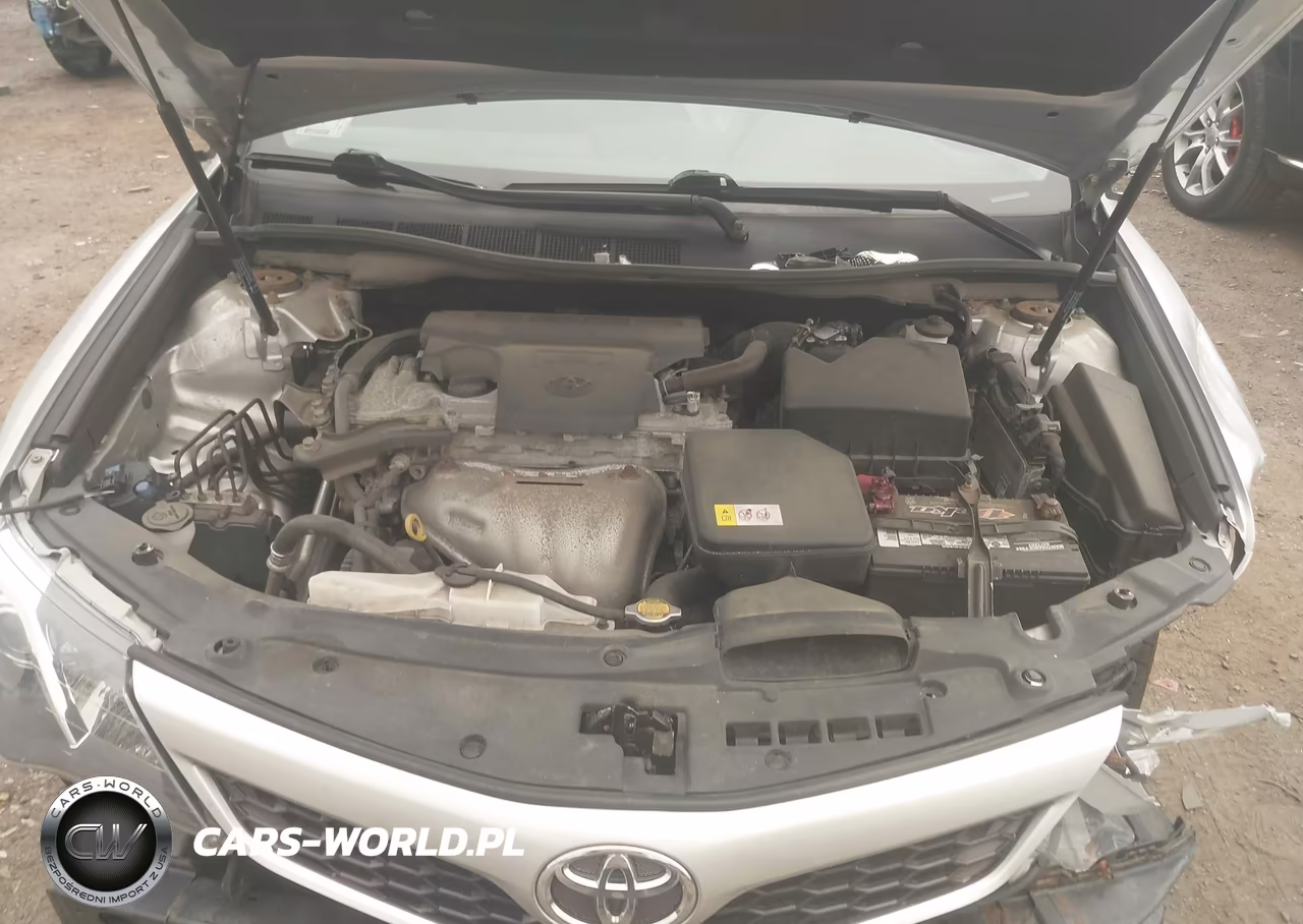 2014 Toyota Camry Se VIN:4T1BF1FK6EU789501 - 10