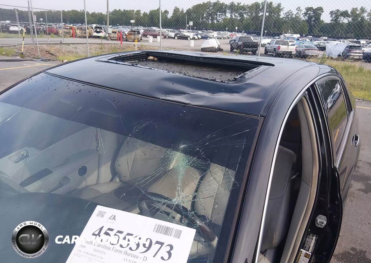 2009 Toyota Avalon Limited VIN:4T1BK36B09U351294 - 6