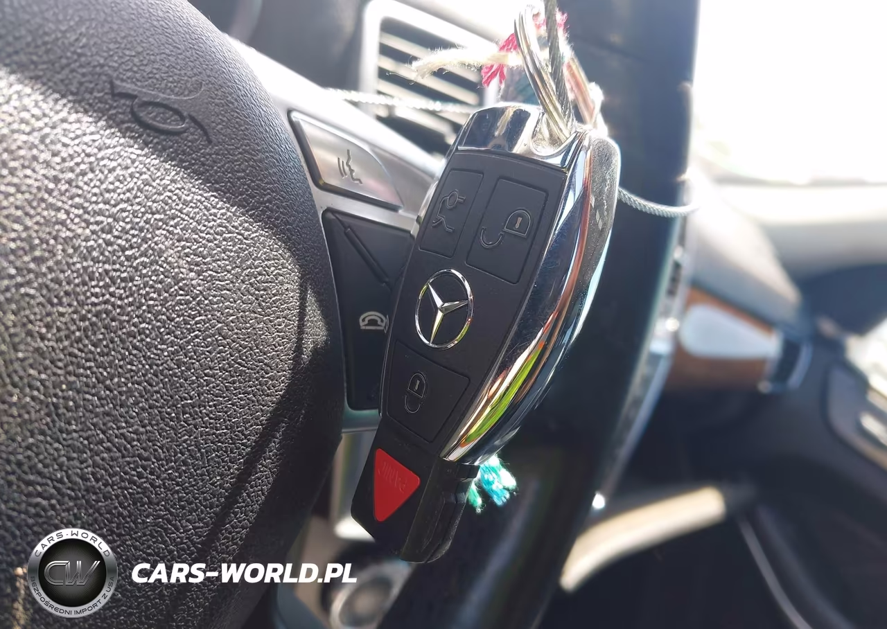 2014 Mercedes-Benz Gl 450 4Matic VIN:4JGDF7CE3EA315565 - 11