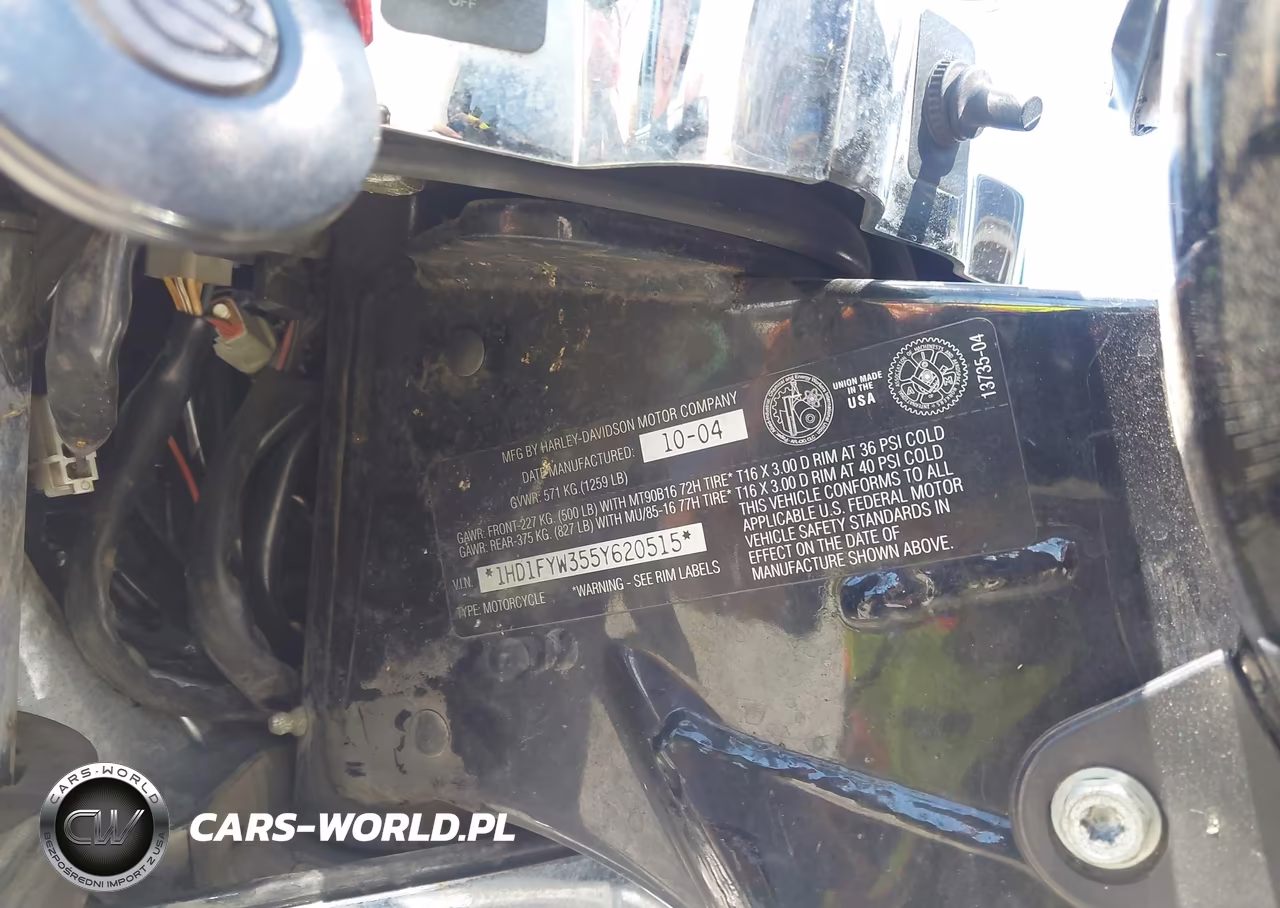 2005 Harley-Davidson Flhrsi VIN:1HD1FYW355Y620515 - 10