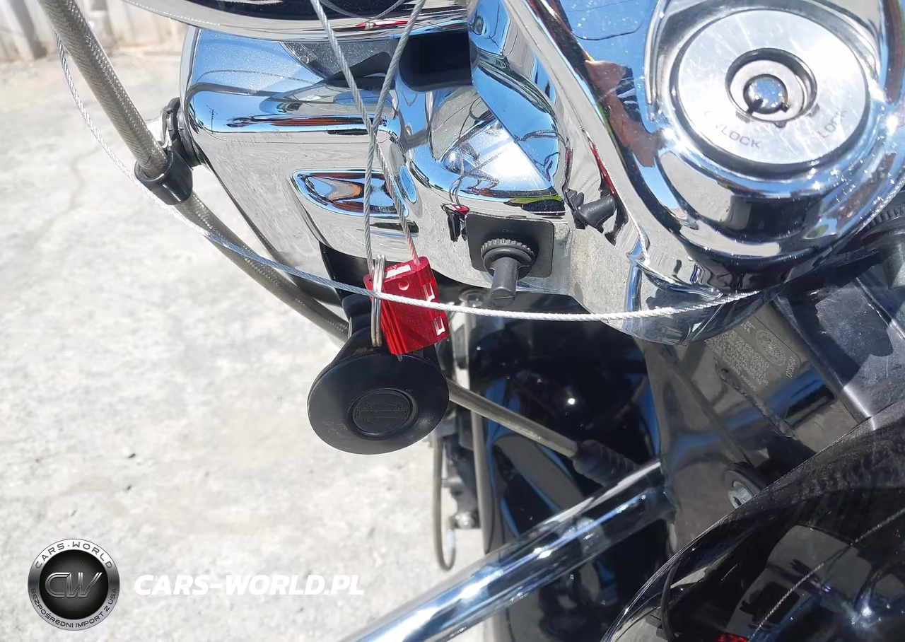 2005 Harley-Davidson Flhrsi VIN:1HD1FYW355Y620515 - 11