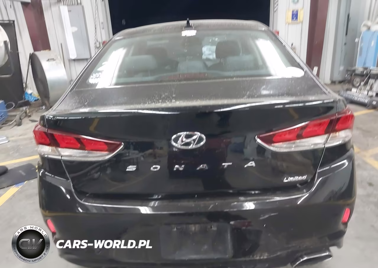 2019 Hyundai Sonata Limited VIN:5NPE34AF6KH805322 - 16