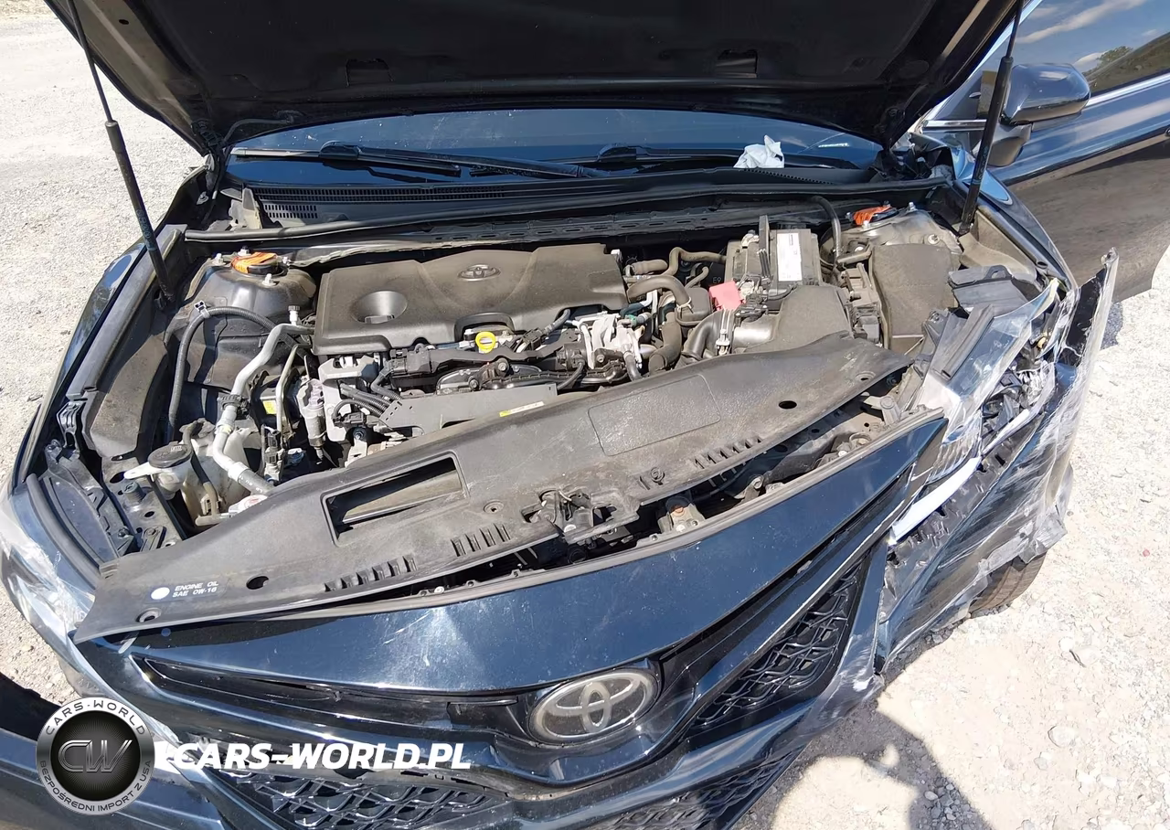 2018 Toyota Camry Se VIN:4T1B11HKXJU674521 - 10