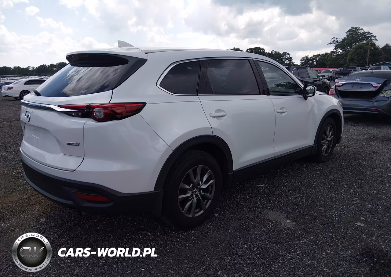 2019 Mazda Cx-9 Touring VIN:JM3TCACY2K0335153 - 4