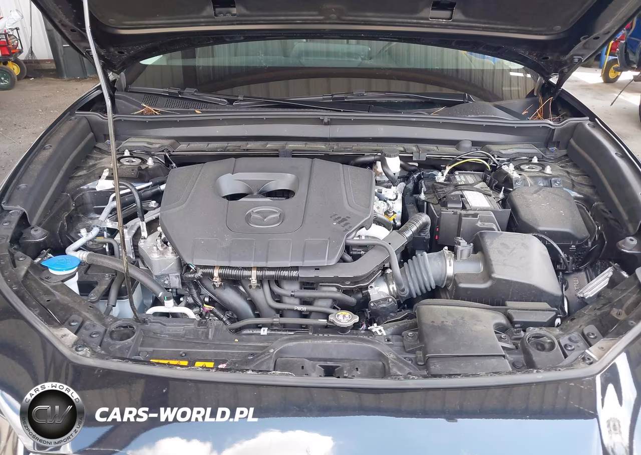 2025 Mazda Cx-30 2.5 S Preferred Package VIN:3MVDMBCMXSM856064 - 10