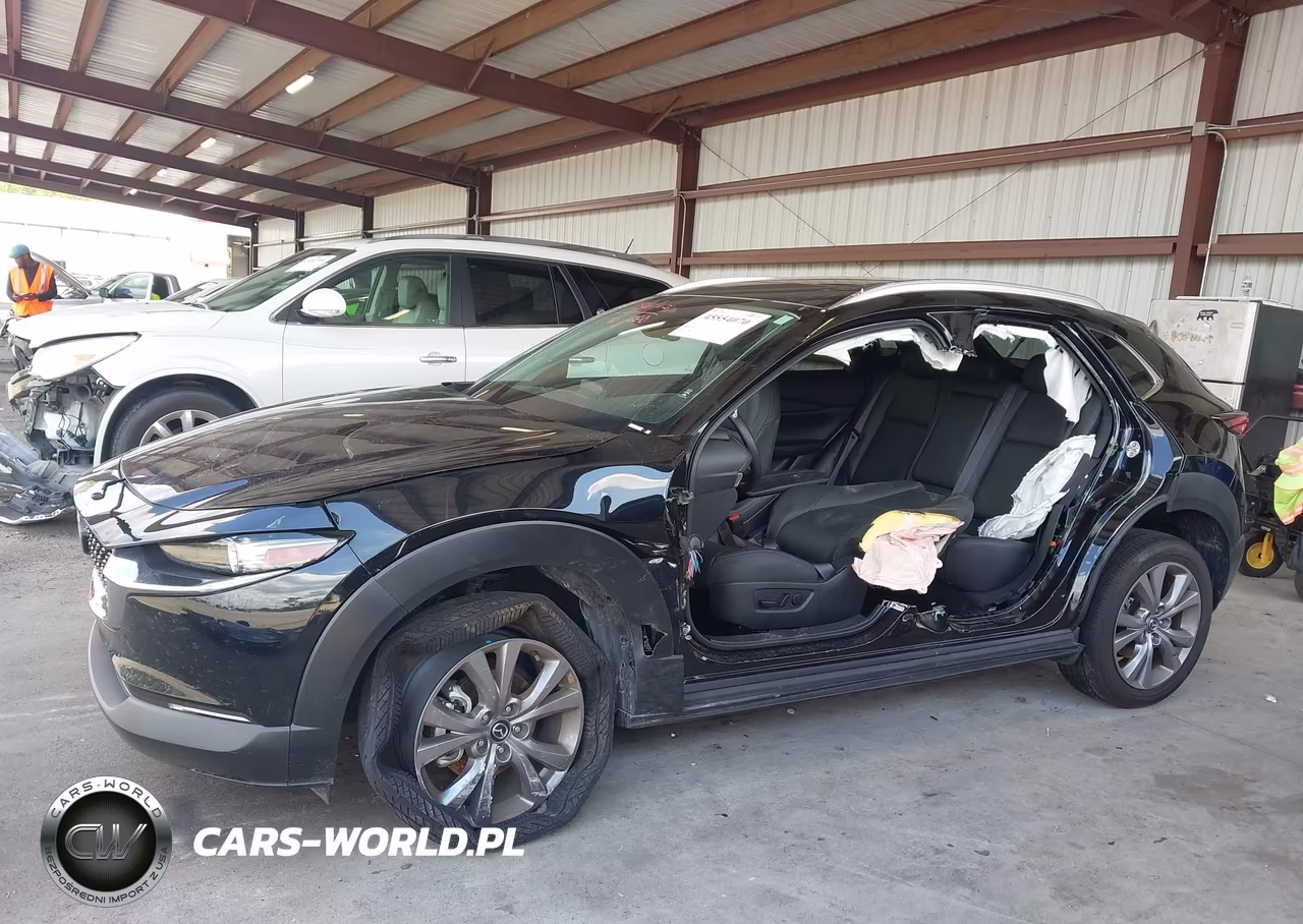 2025 Mazda Cx-30 2.5 S Preferred Package VIN:3MVDMBCMXSM856064 - 15