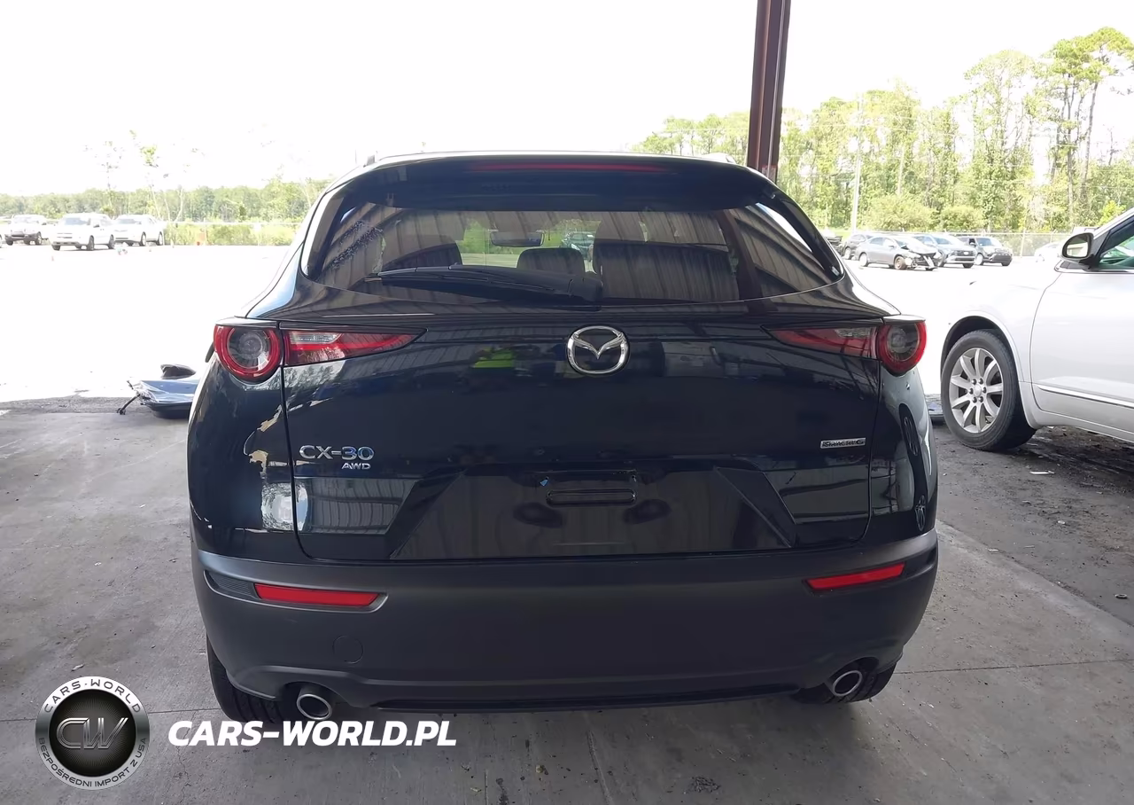 2025 Mazda Cx-30 2.5 S Preferred Package VIN:3MVDMBCMXSM856064 - 17