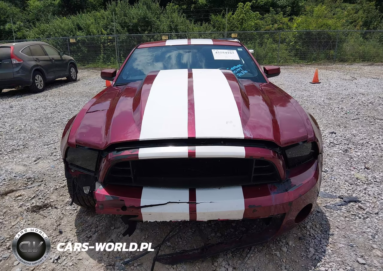 2014 Ford Mustang Gt-Gt Premium VIN:1ZVBP8CF2E5293460 - 12