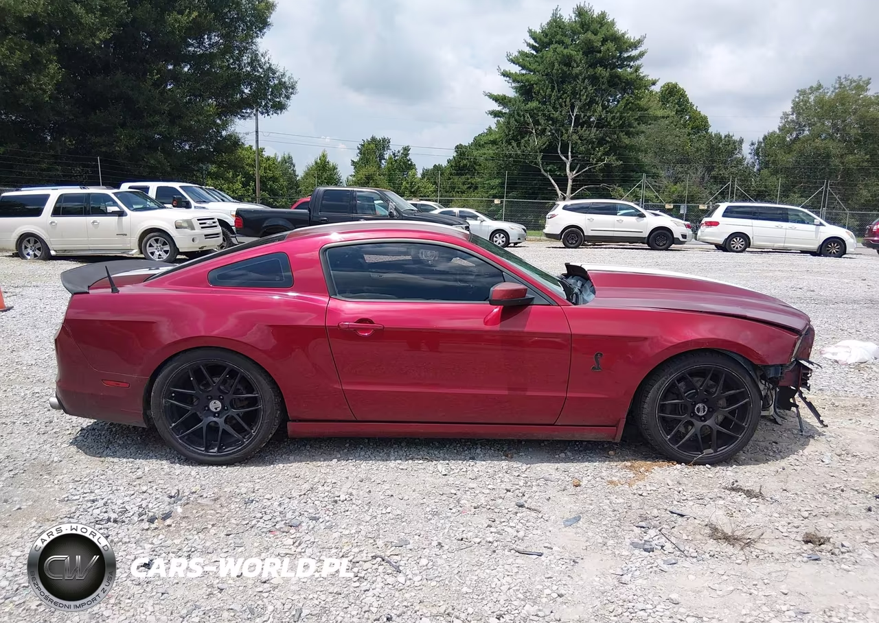 2014 Ford Mustang Gt-Gt Premium VIN:1ZVBP8CF2E5293460 - 13