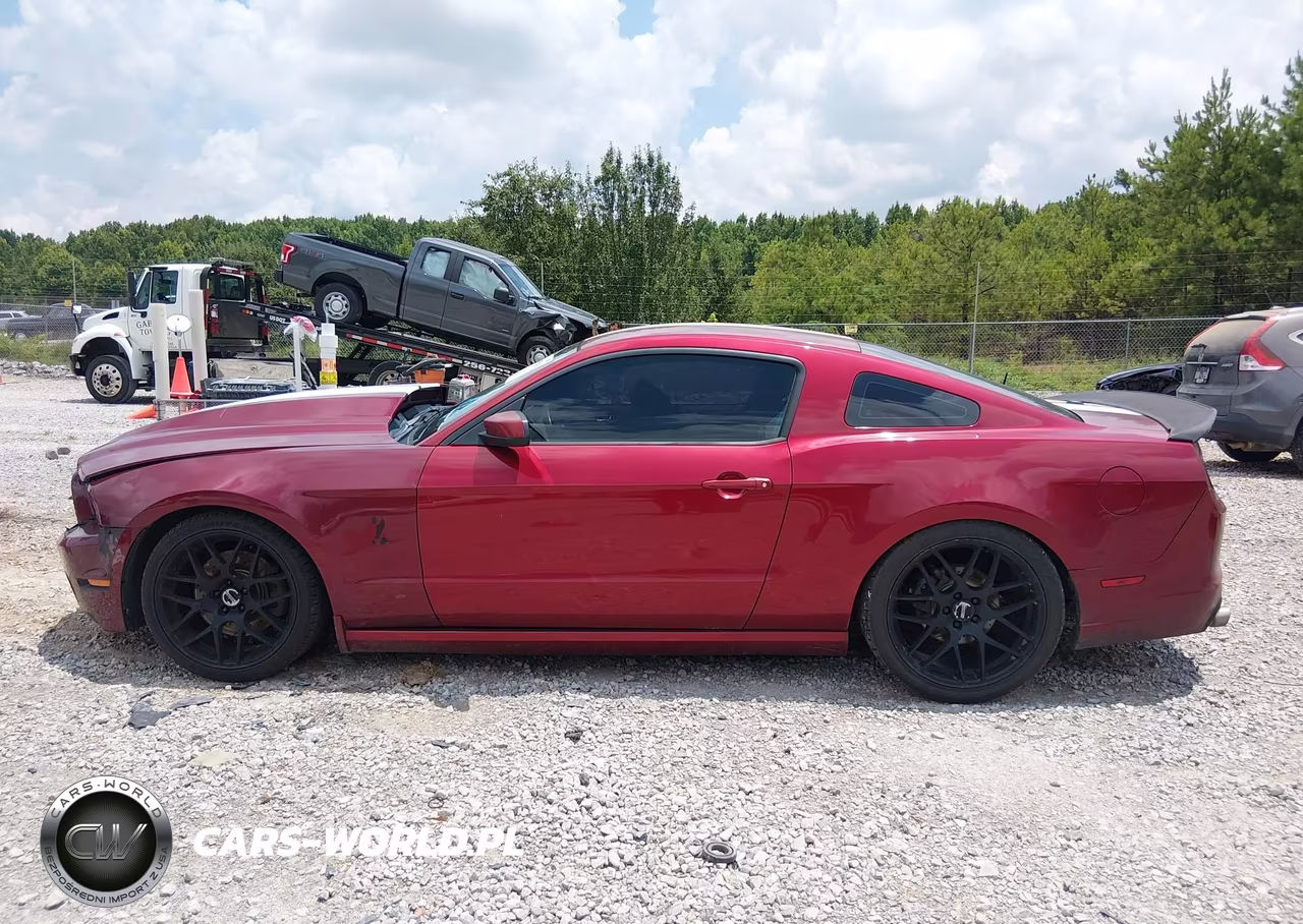 2014 Ford Mustang Gt-Gt Premium VIN:1ZVBP8CF2E5293460 - 14