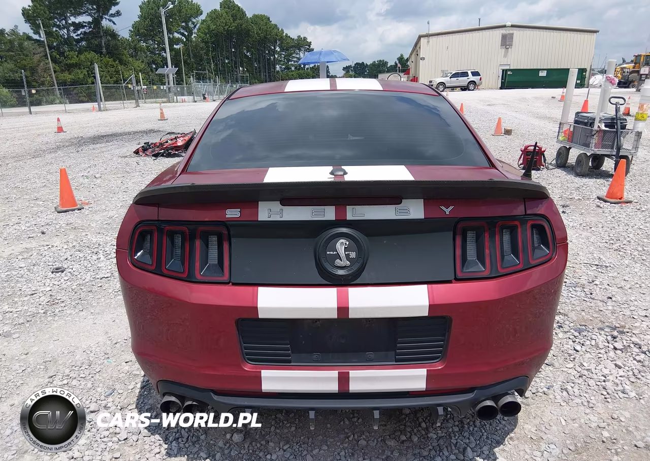2014 Ford Mustang Gt-Gt Premium VIN:1ZVBP8CF2E5293460 - 16