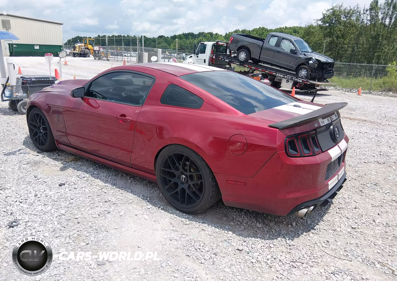 2014 Ford Mustang Gt-Gt Premium VIN:1ZVBP8CF2E5293460 - 3