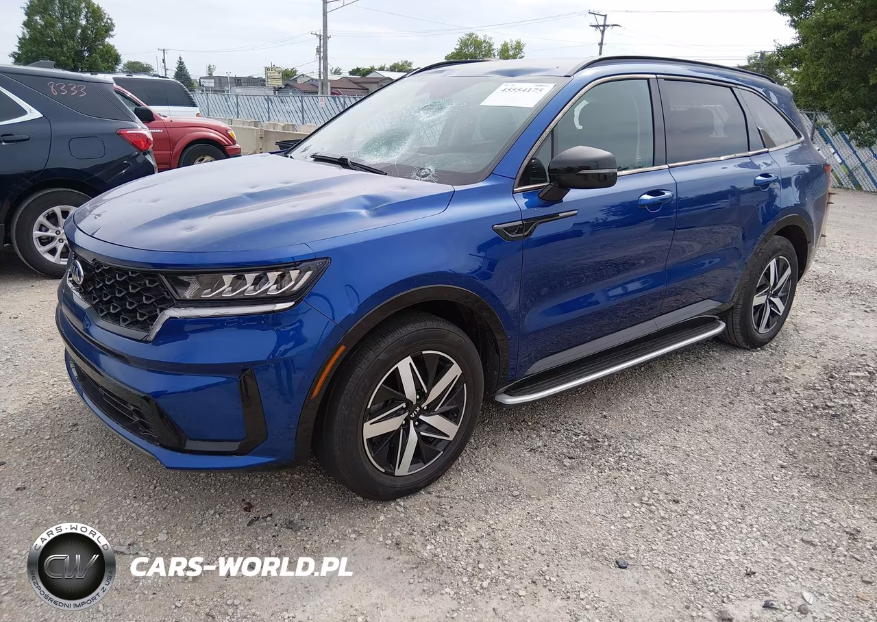 2021 Kia Sorento S VIN:5XYRL4LC9MG035566 - 2