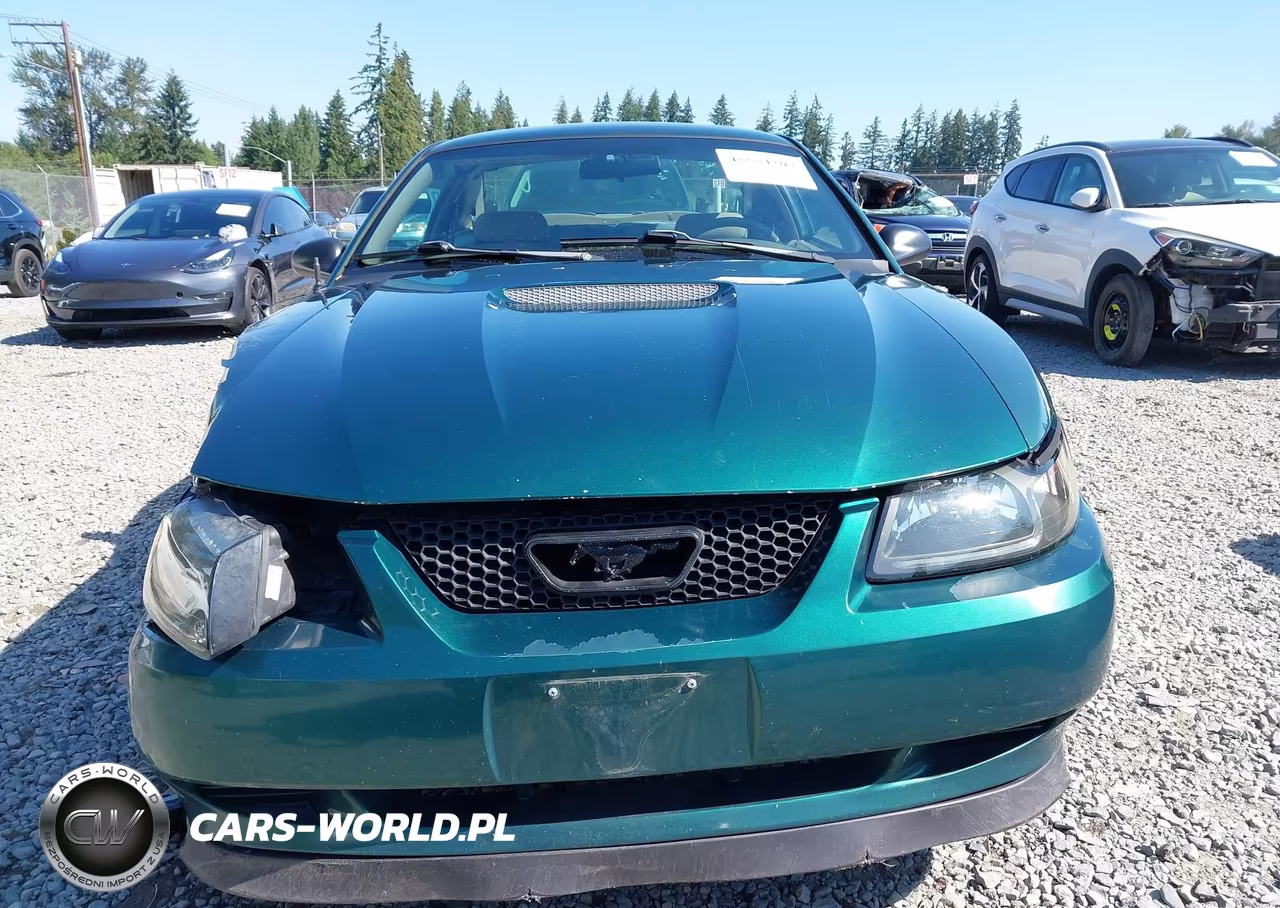 2002 Ford Mustang Deluxe-Premium-Standard VIN:1FAFP40452F140776 - 12