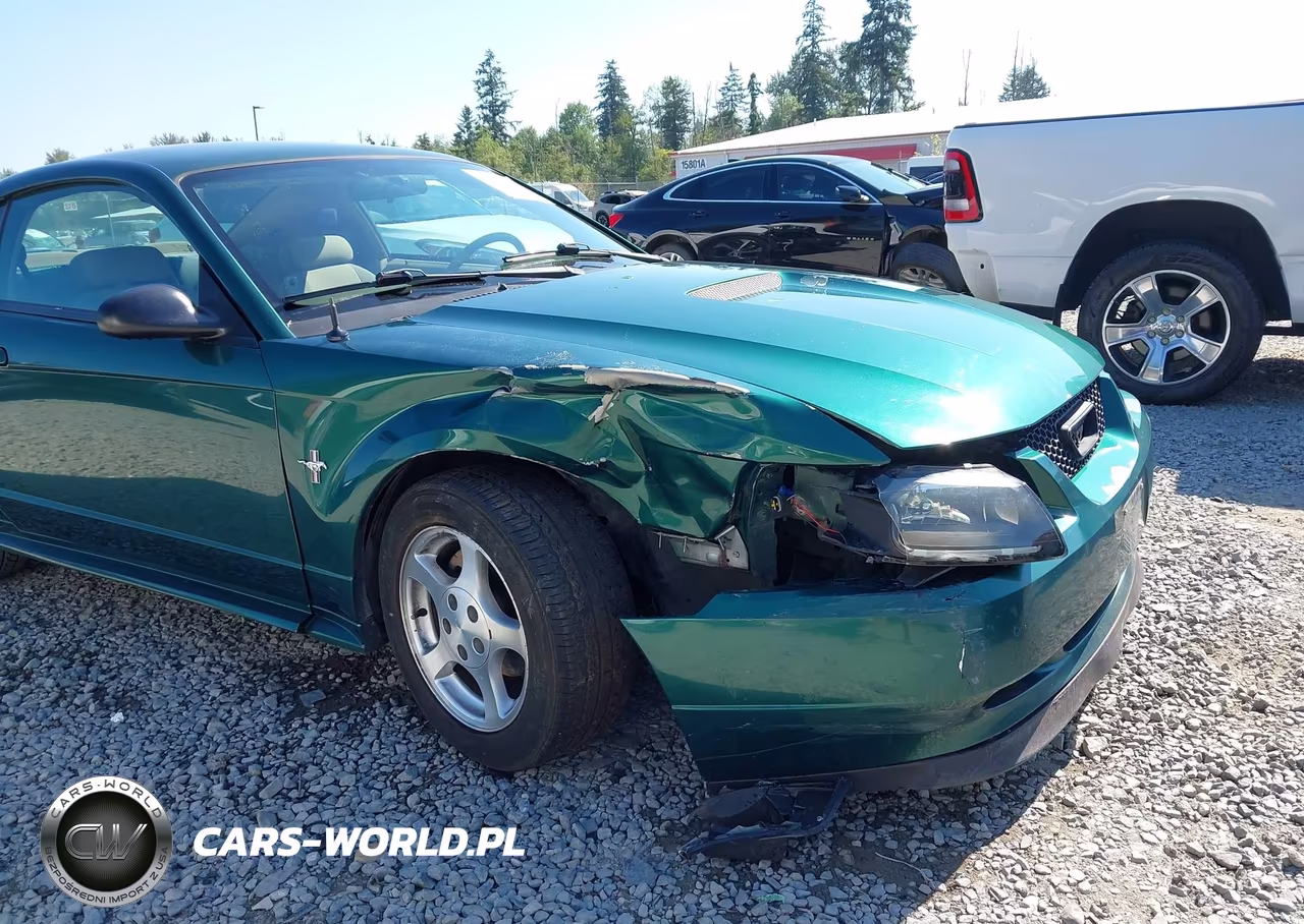 2002 Ford Mustang Deluxe-Premium-Standard VIN:1FAFP40452F140776 - 6
