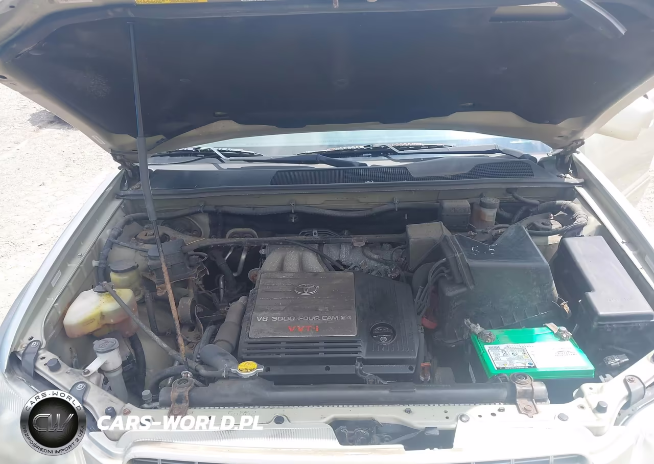 2001 Toyota Highlander V6 VIN:JTEGF21A810025533 - 10