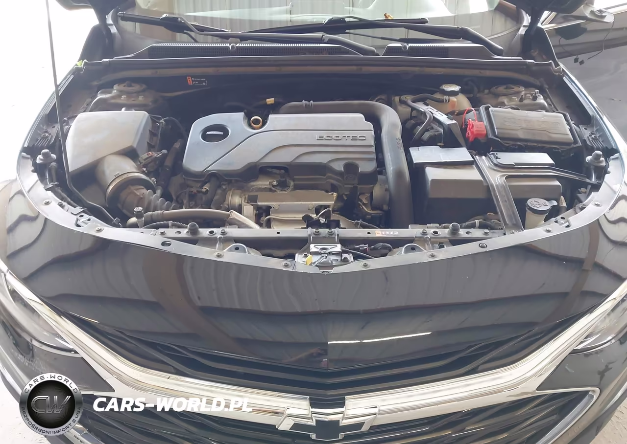 2020 Chevrolet Malibu Fwd Rs VIN:1G1ZG5ST3LF049663 - 10