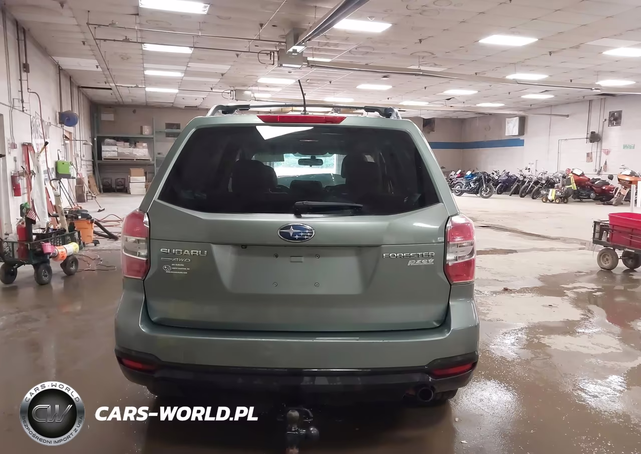 2015 Subaru Forester 2.5I Premium VIN:JF2SJADC4FH519032 - 16