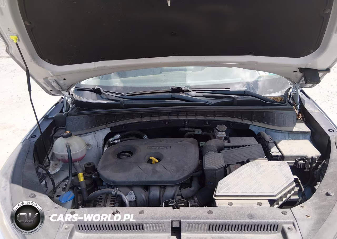 2019 Hyundai Tucson Value VIN:KM8J3CA4XKU967348 - 10