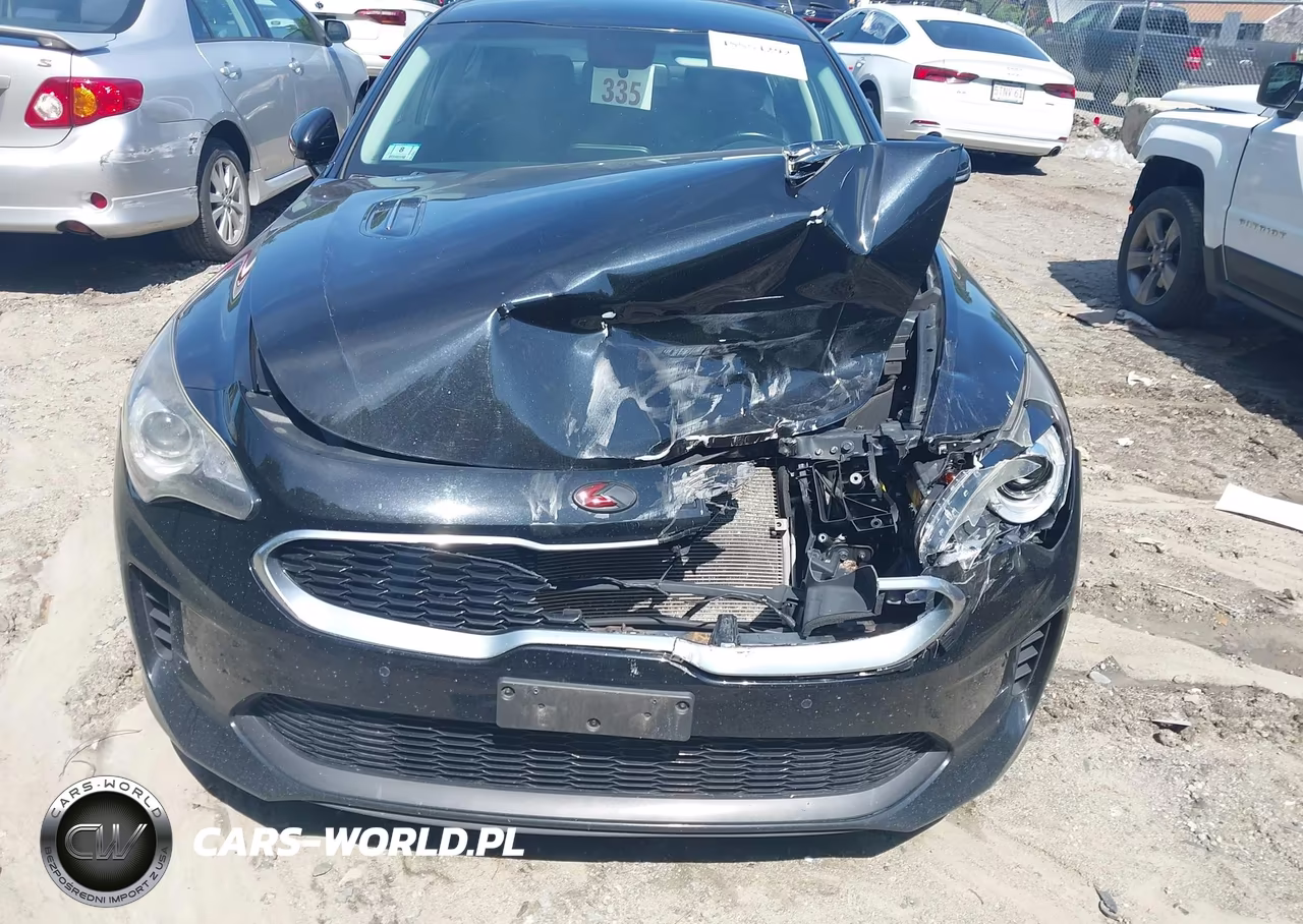 2018 Kia Stinger VIN:KNAE15LA0J6016666 - 12