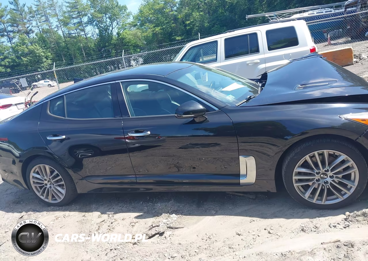 2018 Kia Stinger VIN:KNAE15LA0J6016666 - 13