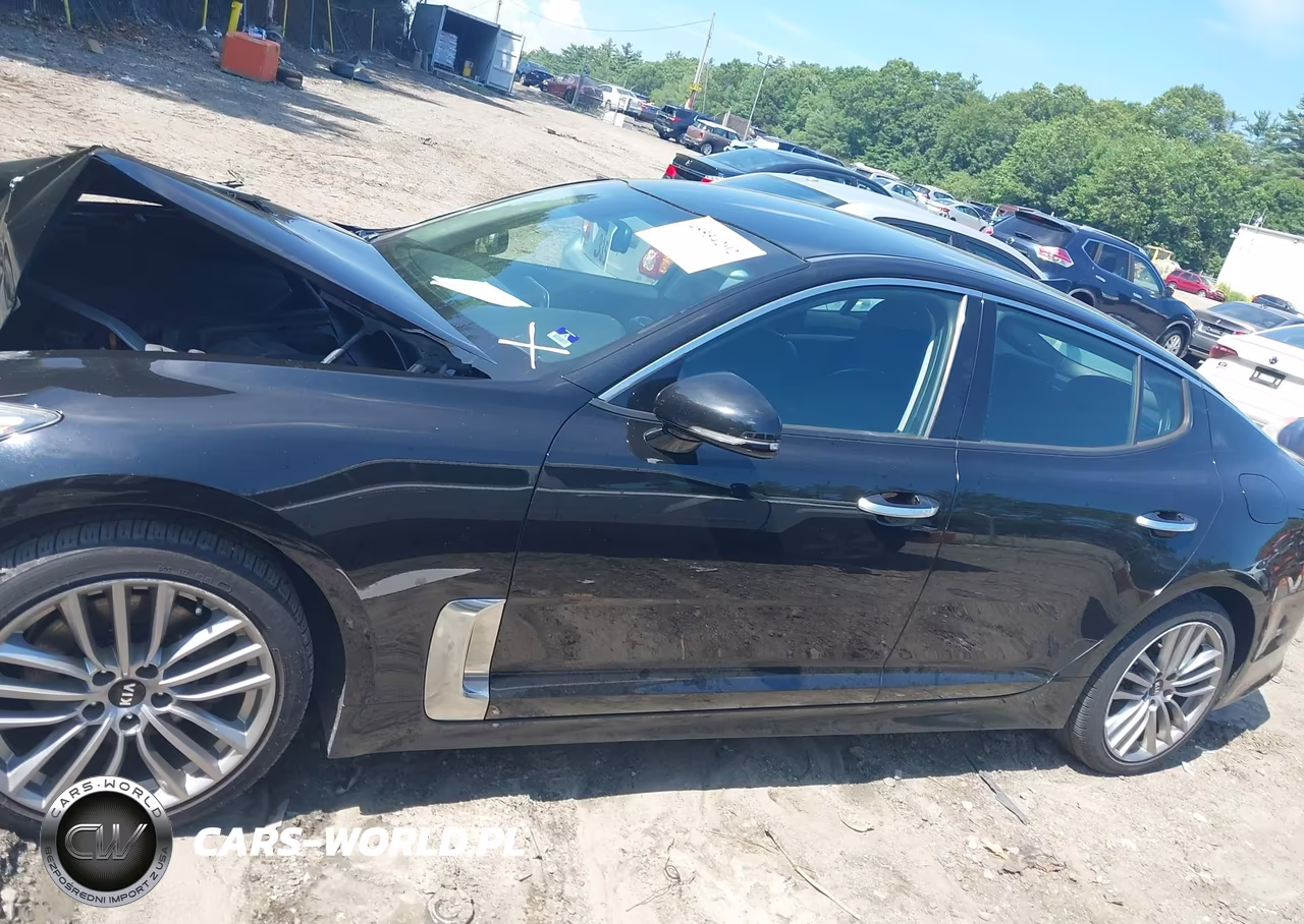 2018 Kia Stinger VIN:KNAE15LA0J6016666 - 14