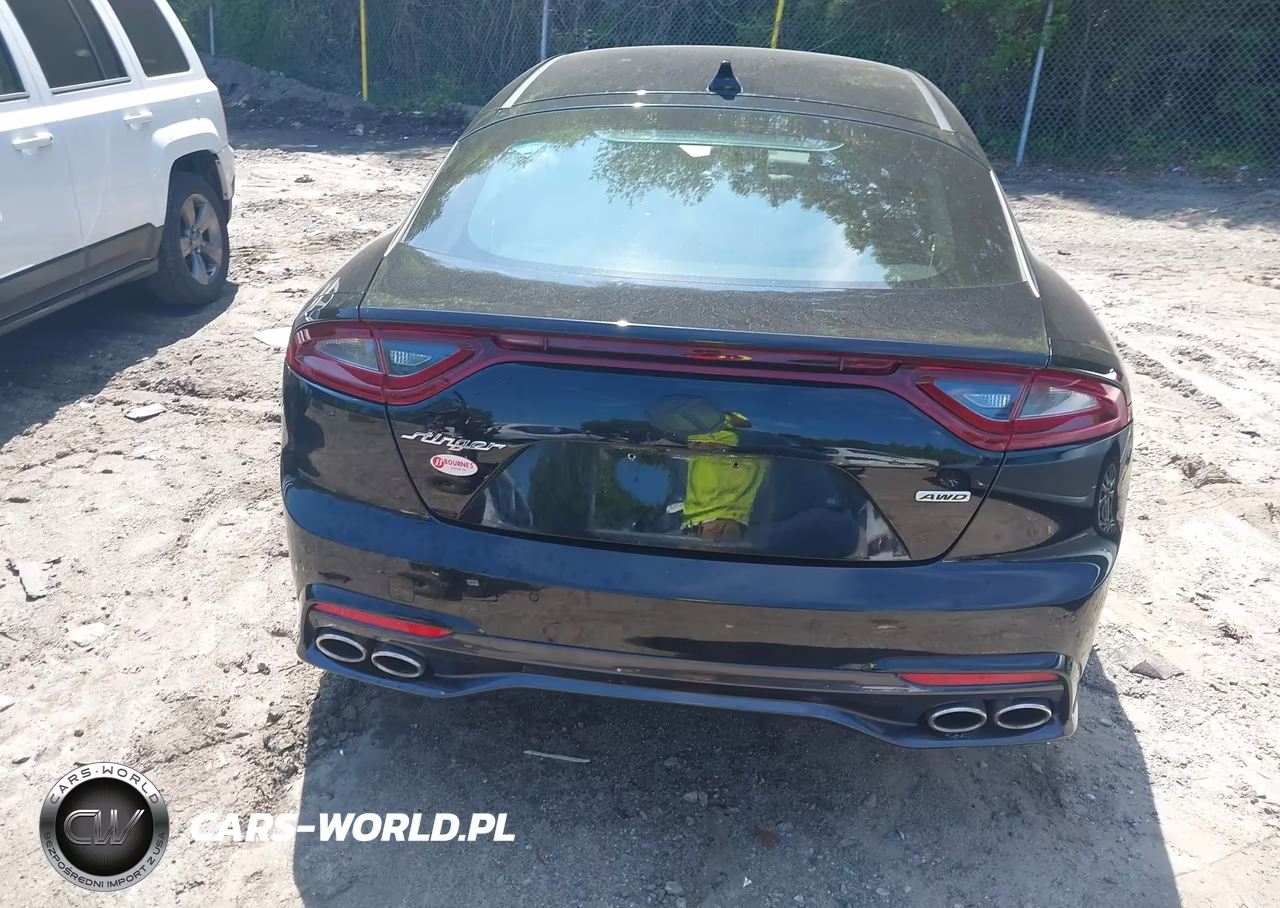 2018 Kia Stinger VIN:KNAE15LA0J6016666 - 16