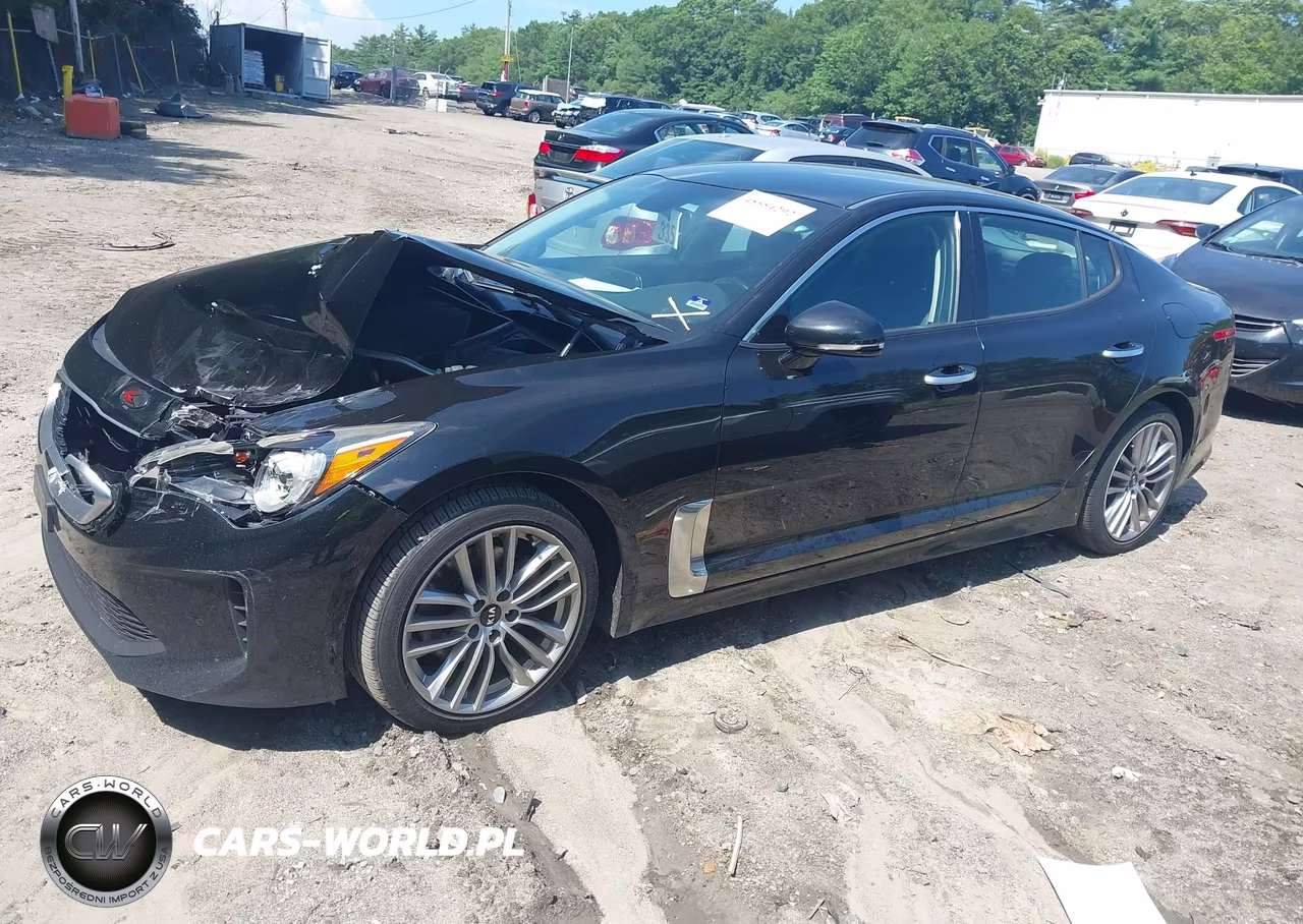 2018 Kia Stinger VIN:KNAE15LA0J6016666 - 2