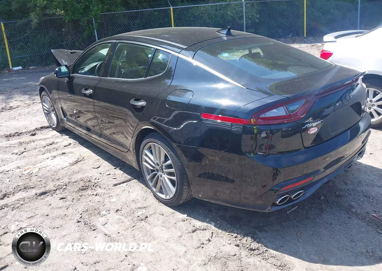 2018 Kia Stinger VIN:KNAE15LA0J6016666 - 3