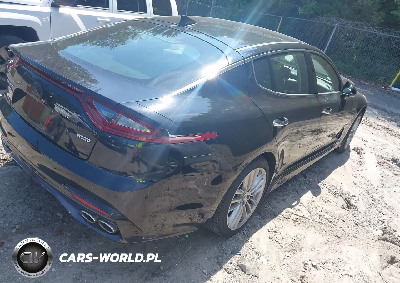 2018 Kia Stinger VIN:KNAE15LA0J6016666 - 4