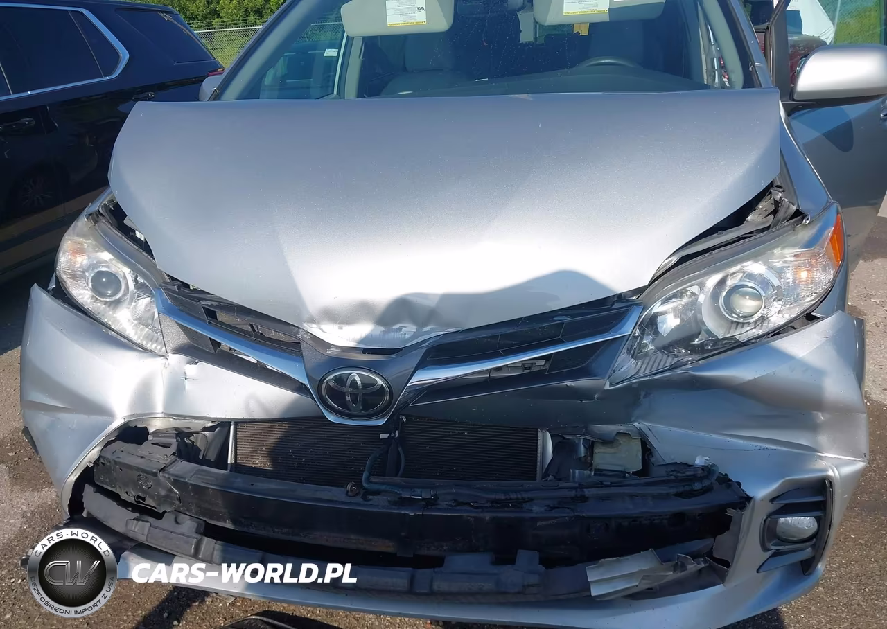 2019 Toyota Sienna Xle 8 Passenger VIN:5TDYZ3DC9KS967995 - 10