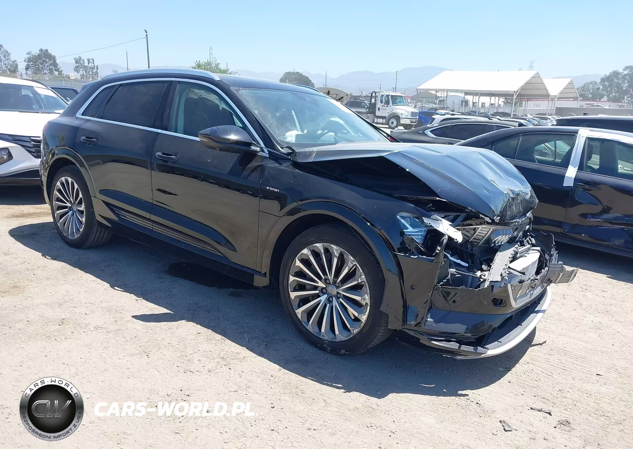 2019 Audi E-Tron Premium Plus