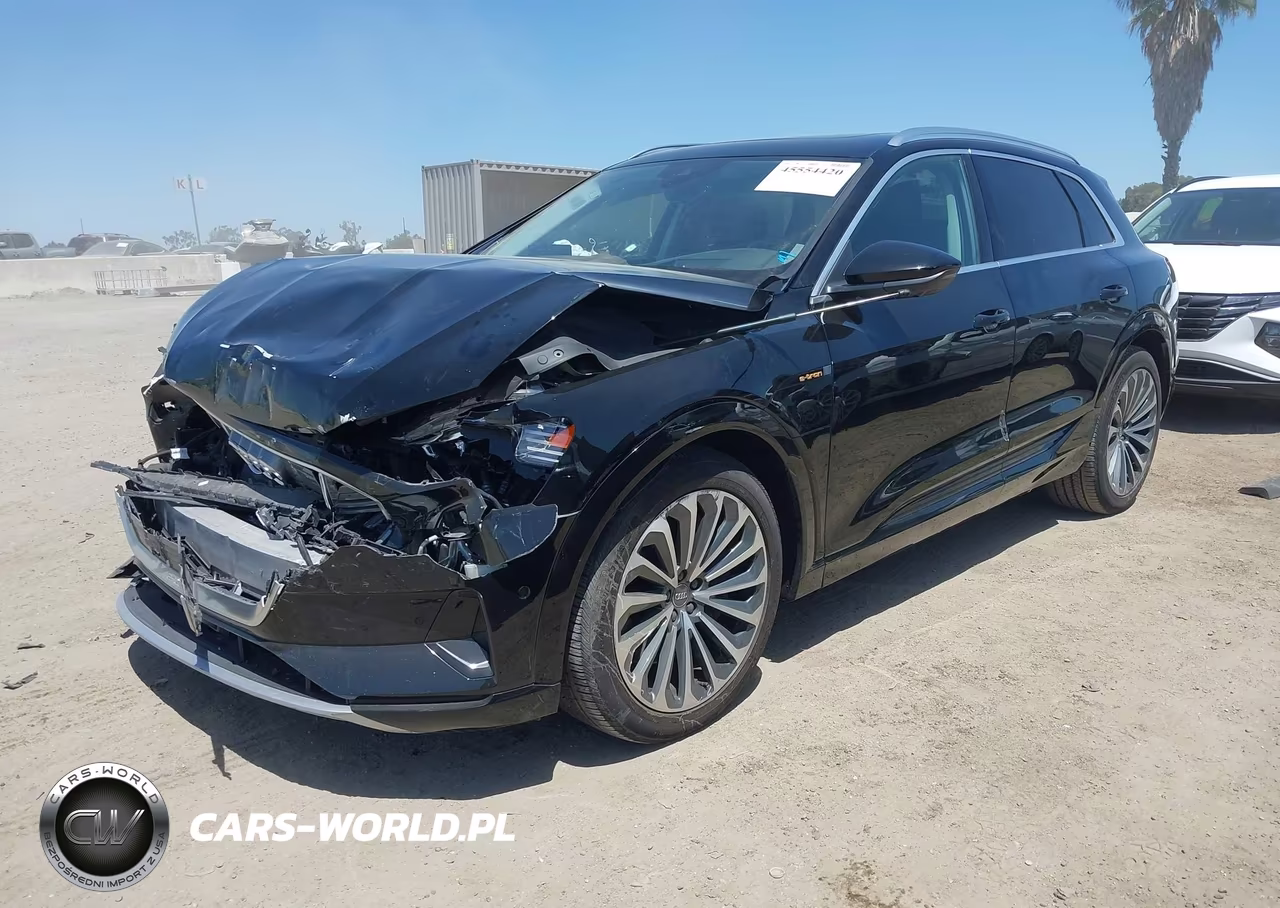 2019 Audi E-Tron Premium Plus VIN:WA1VABGE6KB010775 - 2