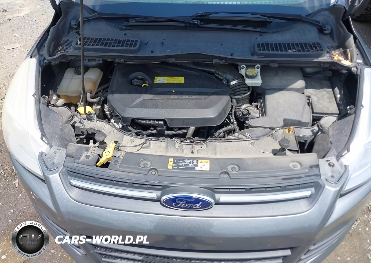 2014 Ford Escape Se VIN:1FMCU0GX7EUB13640 - 10