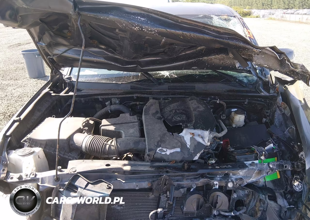 2016 Toyota Tacoma Sr5 V6 VIN:5TFSZ5AN2GX043231 - 10