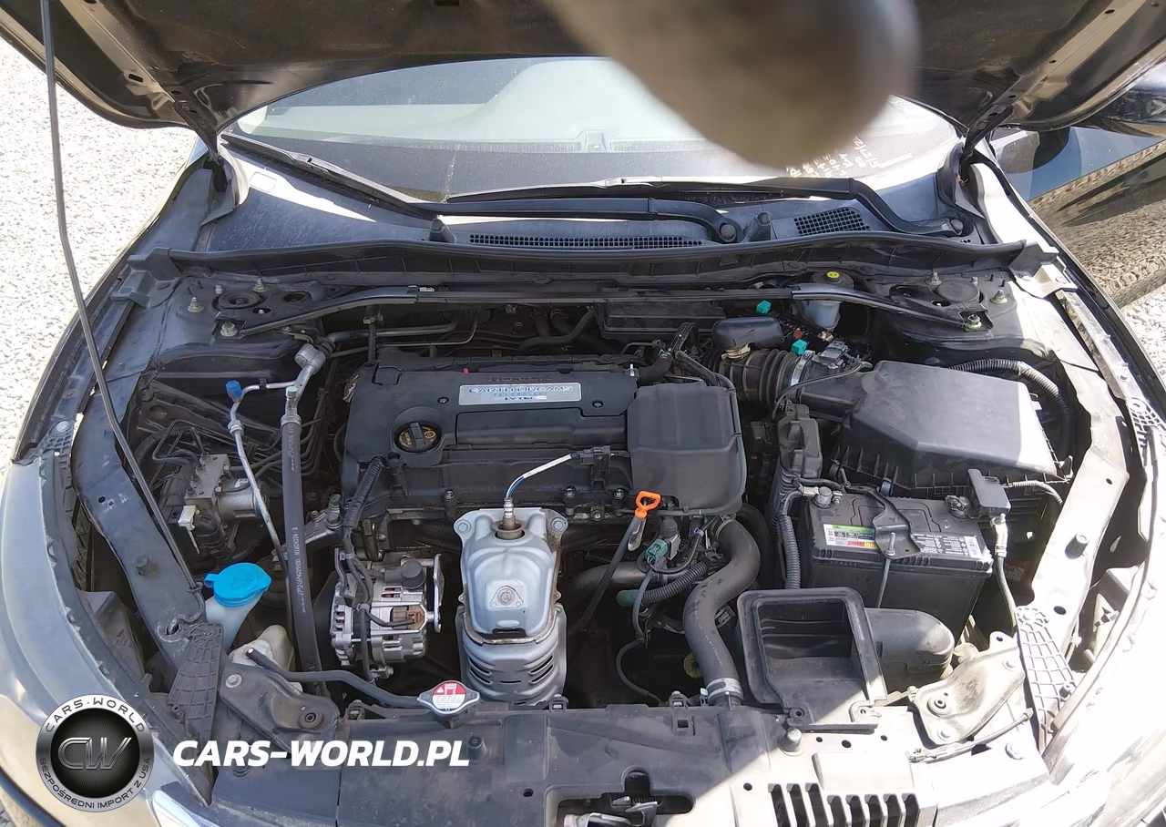 2014 Honda Accord Ex-L VIN:1HGCR2F87EA244789 - 10