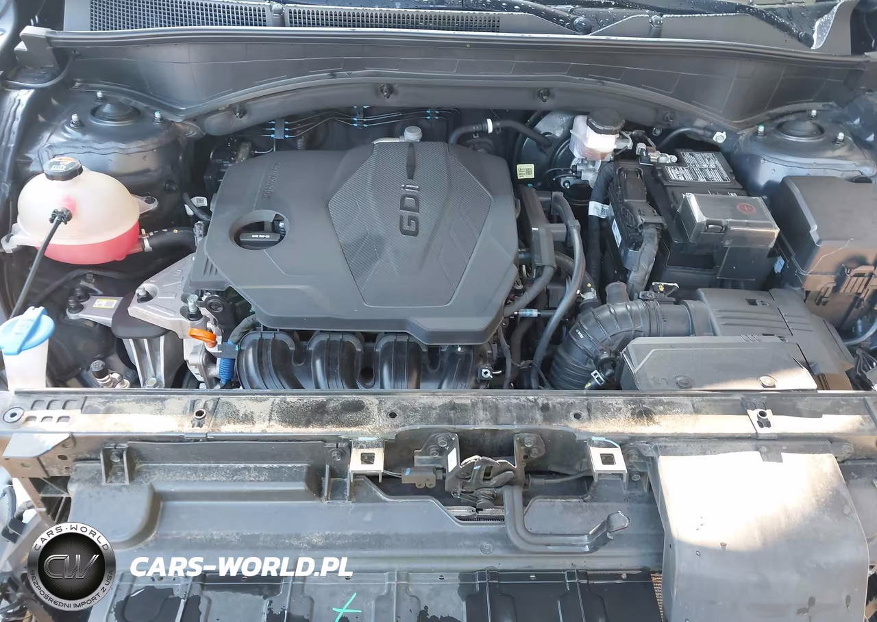 2023 Hyundai Santa Fe Xrt VIN:5NMS6DAJ7PH608775 - 10