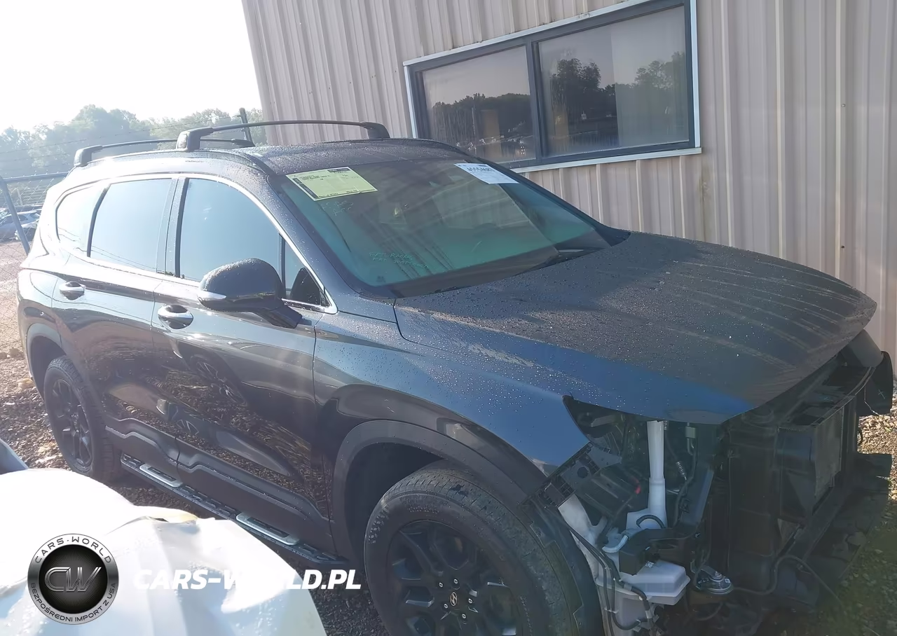 2023 Hyundai Santa Fe Xrt VIN:5NMS6DAJ7PH608775 - 13