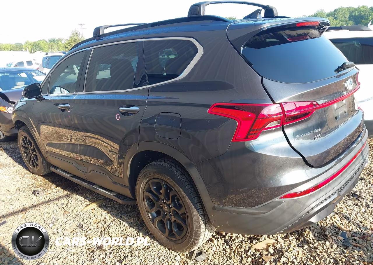 2023 Hyundai Santa Fe Xrt VIN:5NMS6DAJ7PH608775 - 14