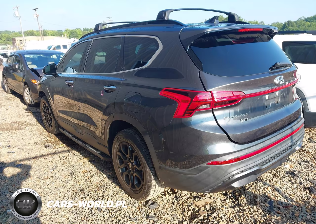 2023 Hyundai Santa Fe Xrt VIN:5NMS6DAJ7PH608775 - 3