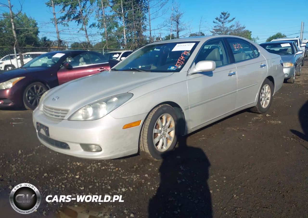 2002 Lexus Es 300 VIN:JTHBF30G220031080 - 2