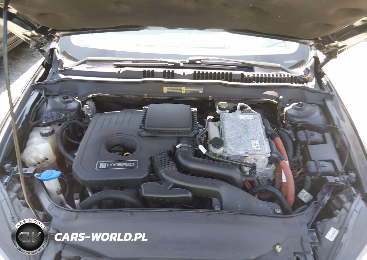 2014 Ford Fusion Hybrid Se VIN:3FA6P0LU0ER132919 - 10