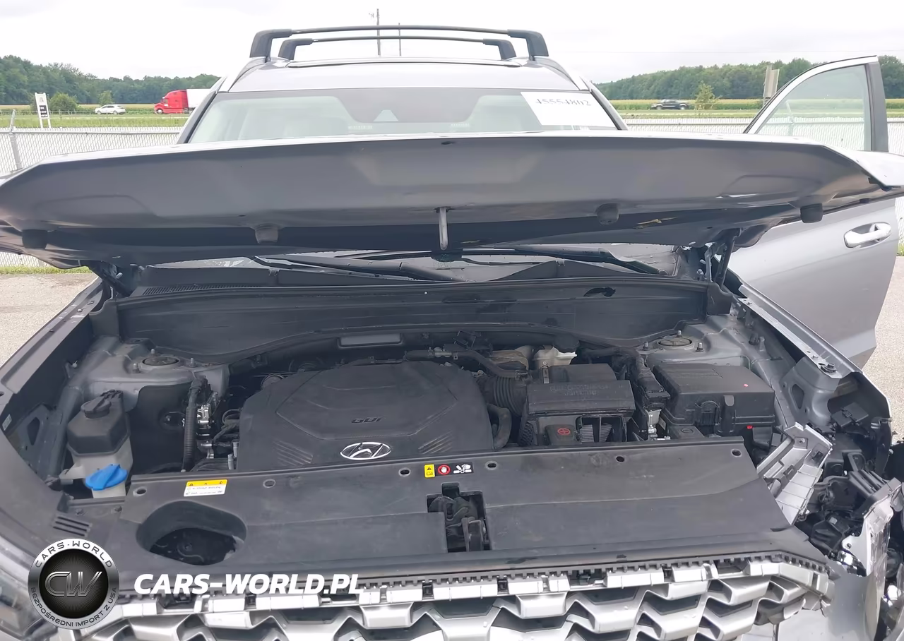 2021 Hyundai Palisade Sel VIN:KM8R4DHE1MU190887 - 10