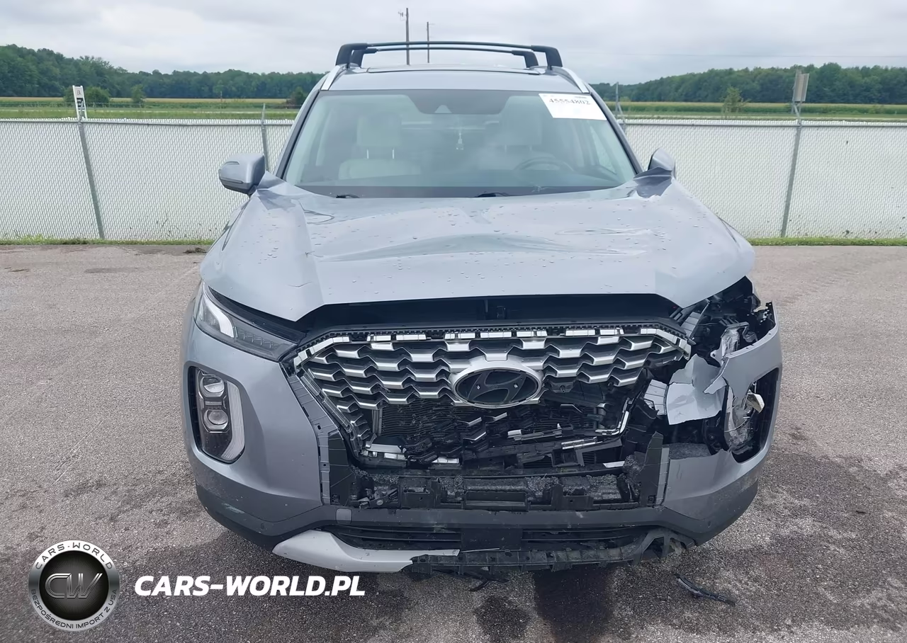 2021 Hyundai Palisade Sel VIN:KM8R4DHE1MU190887 - 12