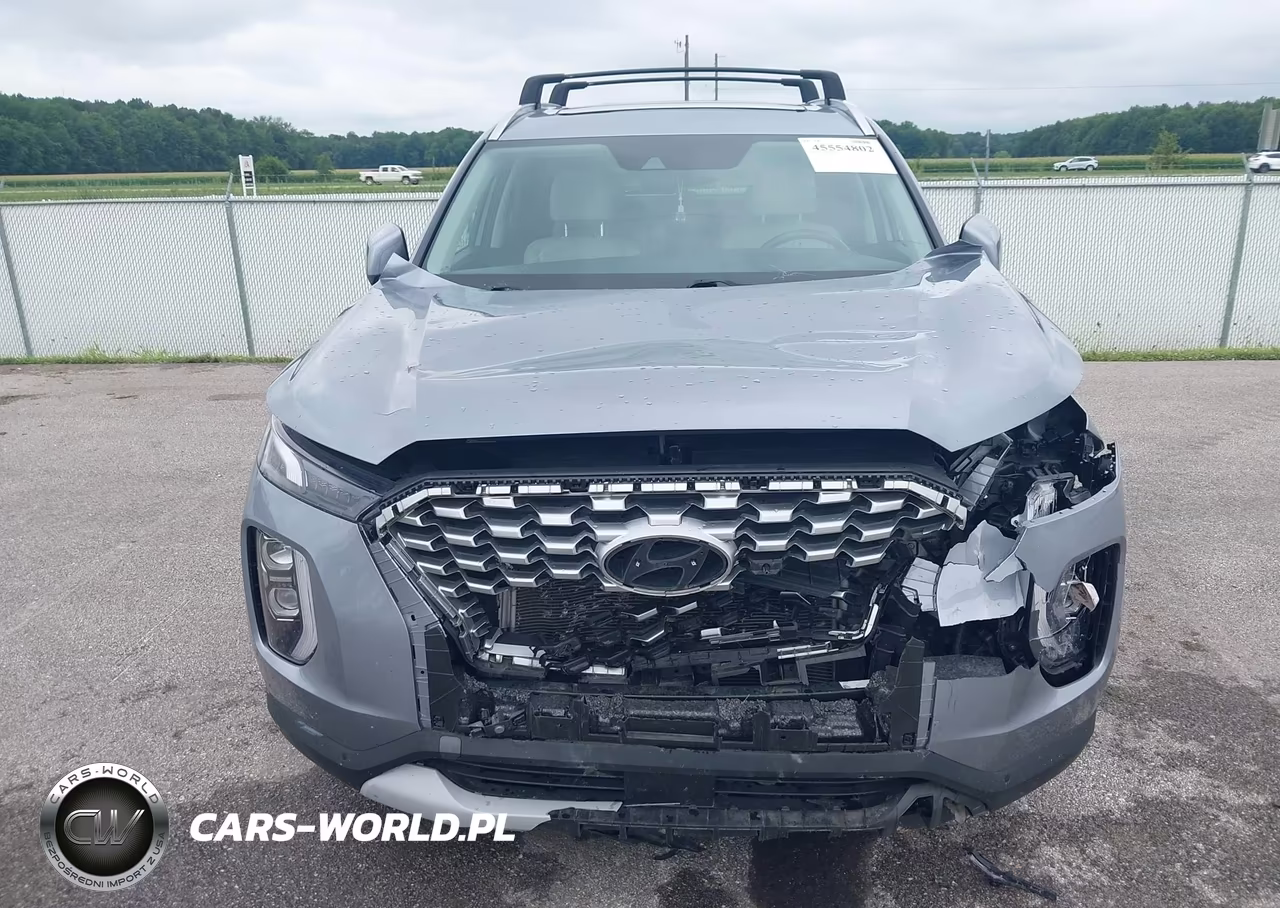 2021 Hyundai Palisade Sel VIN:KM8R4DHE1MU190887 - 6