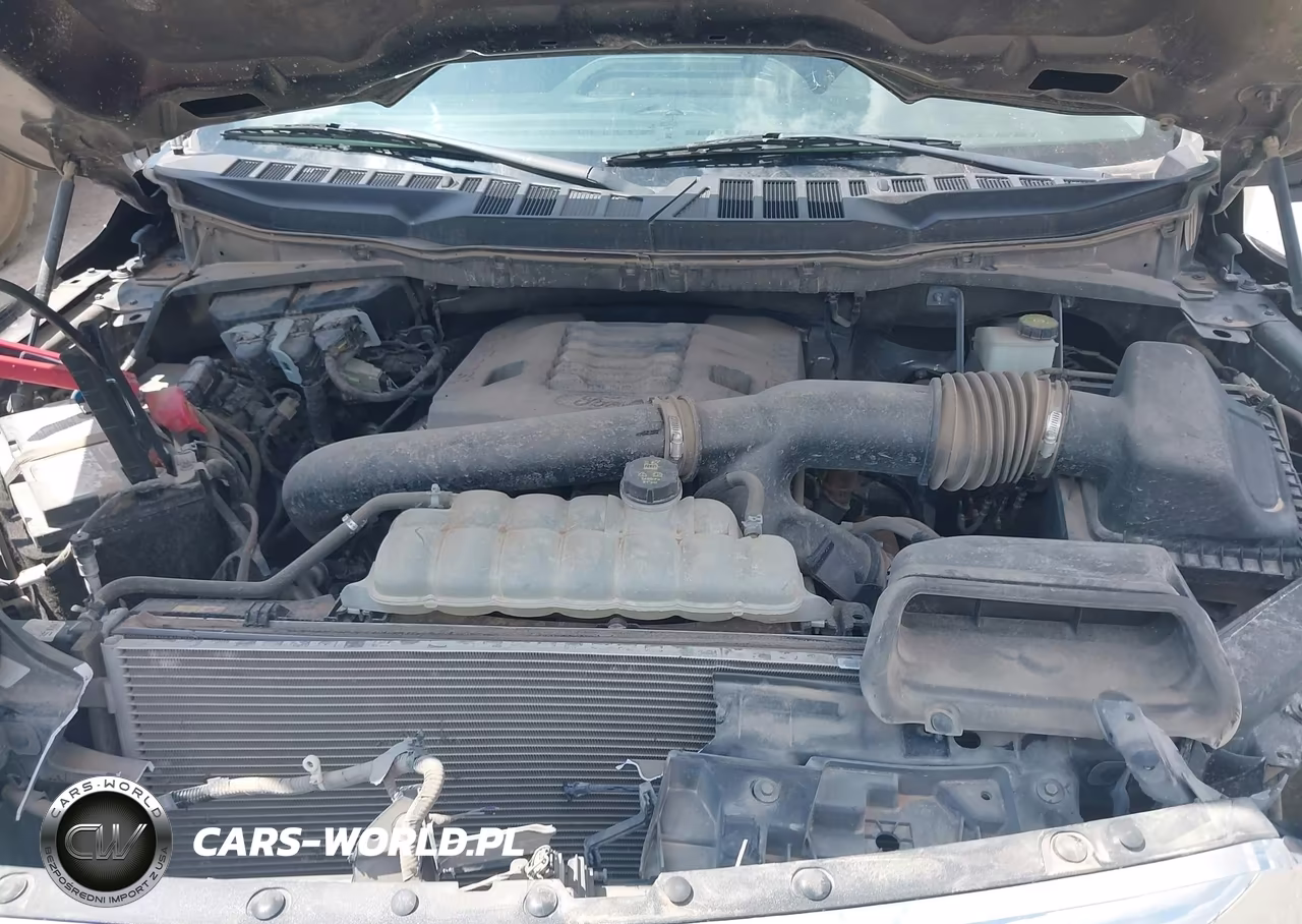 2023 Ford F150 Supercrew VIN:1FTEW1C82PKE79175 - 10