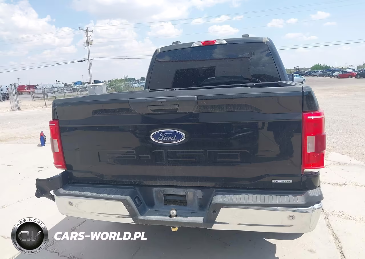 2023 Ford F150 Supercrew VIN:1FTEW1C82PKE79175 - 16