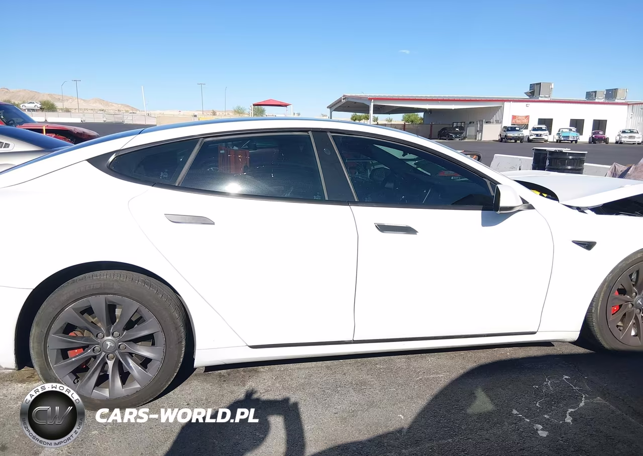 2020 Tesla Model S Performance Dual Motor All-Wheel Drive VIN:5YJSA1E45LF364685 - 13