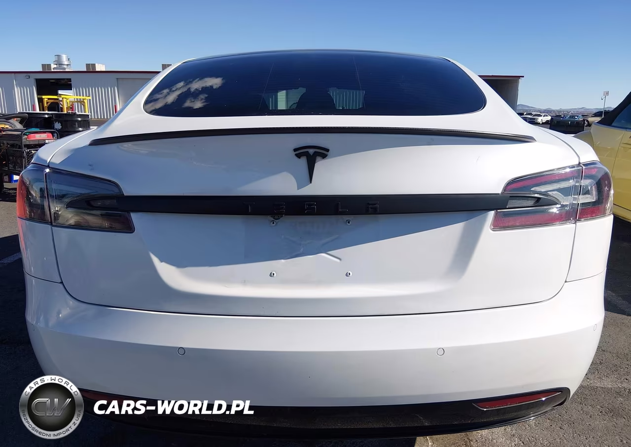 2020 Tesla Model S Performance Dual Motor All-Wheel Drive VIN:5YJSA1E45LF364685 - 16