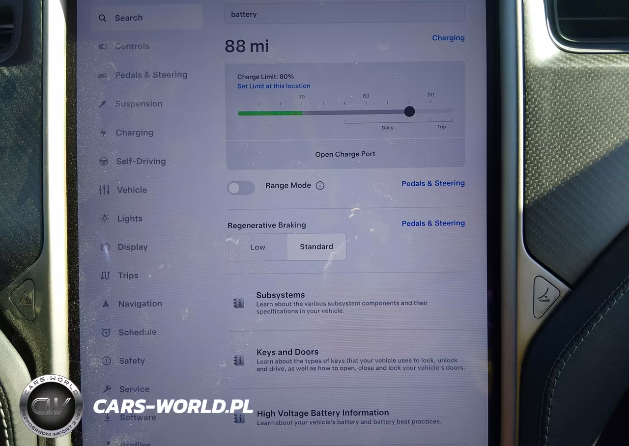 2020 Tesla Model S Performance Dual Motor All-Wheel Drive VIN:5YJSA1E45LF364685 - 17